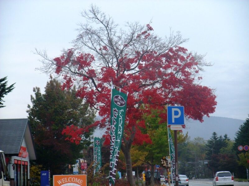 入山峠入口の紅葉
