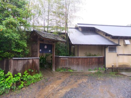 鬼怒川 竹やぶ アワレみ隊ontheweb 鬼怒川 竹やぶ アワレみ隊ontheweb