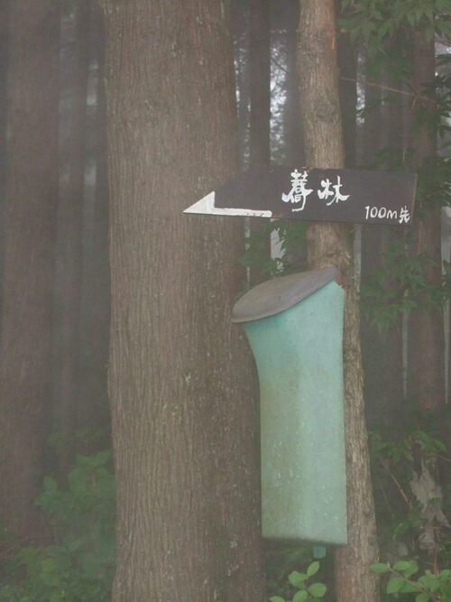 森の中100メートル先に蕎麦屋があるらしい