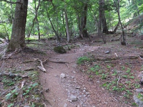 快適な山歩き