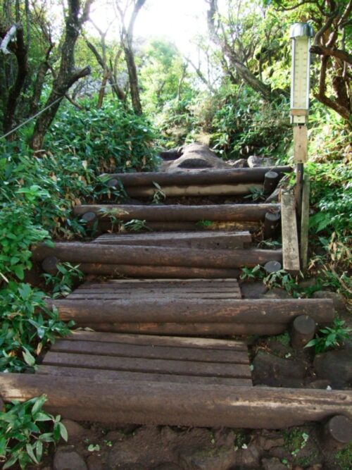木道の階段