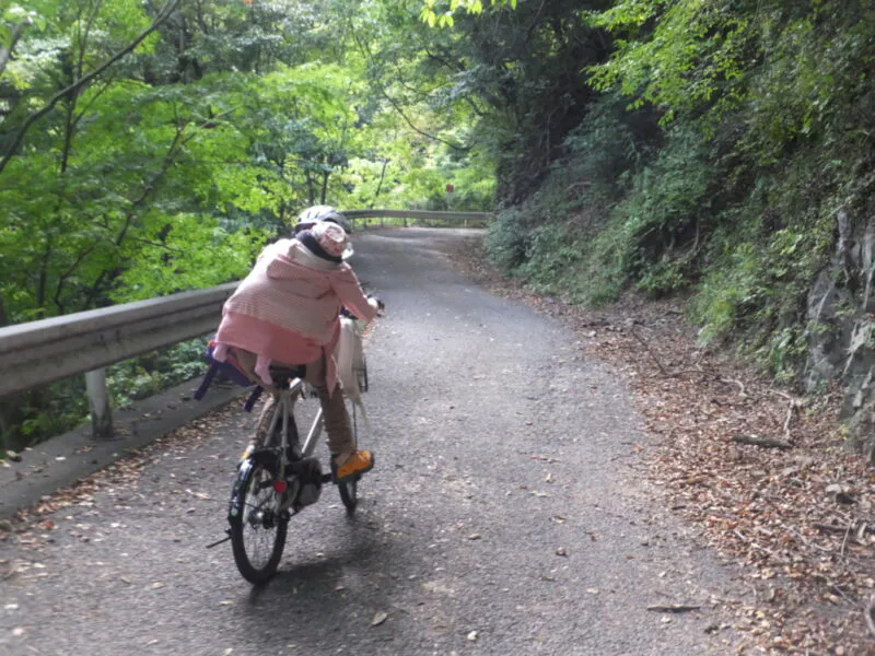 ここで自転車のるな