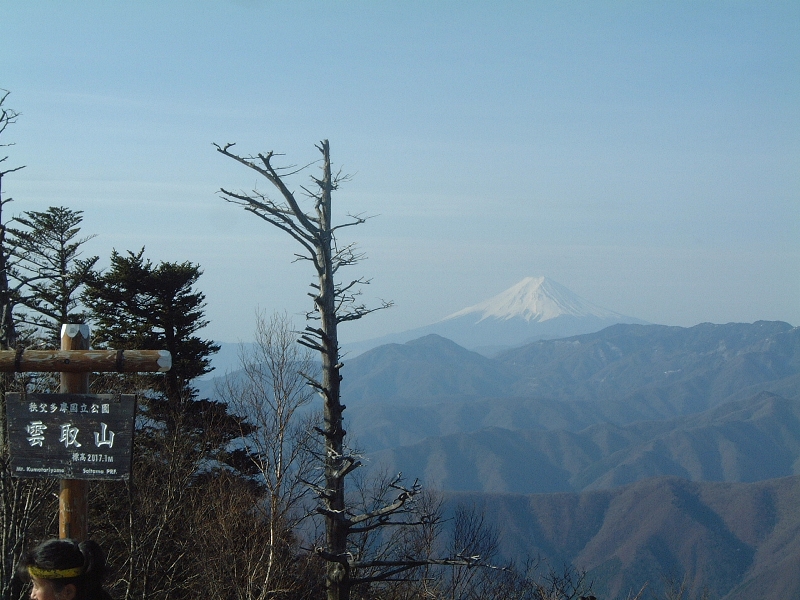 雲取山山頂から富士山