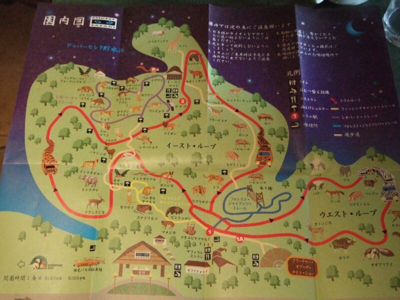 ナイト・サファリ地図