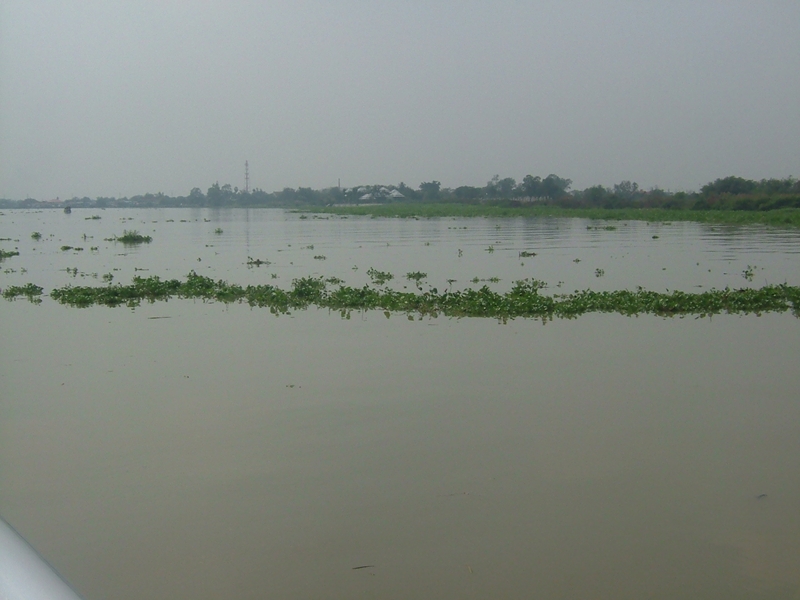 チャオプラヤー川の眺め1