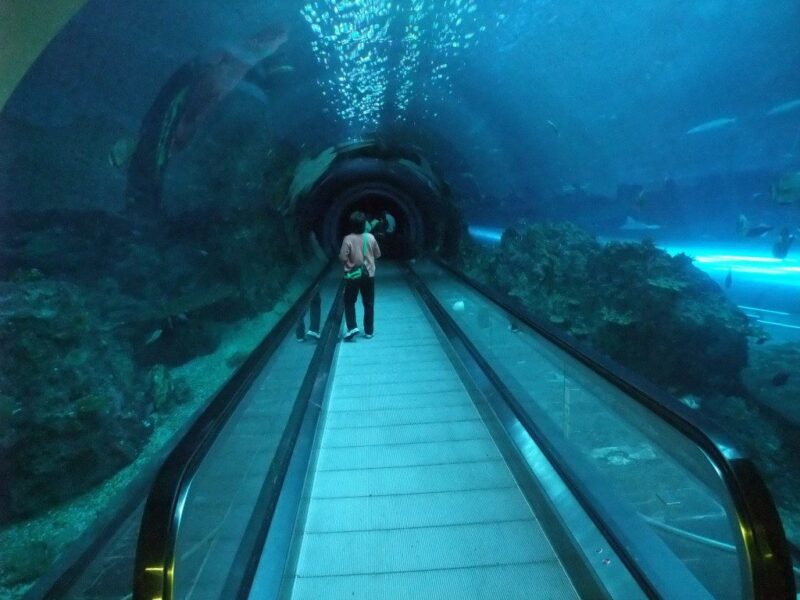 長い海底トンネル