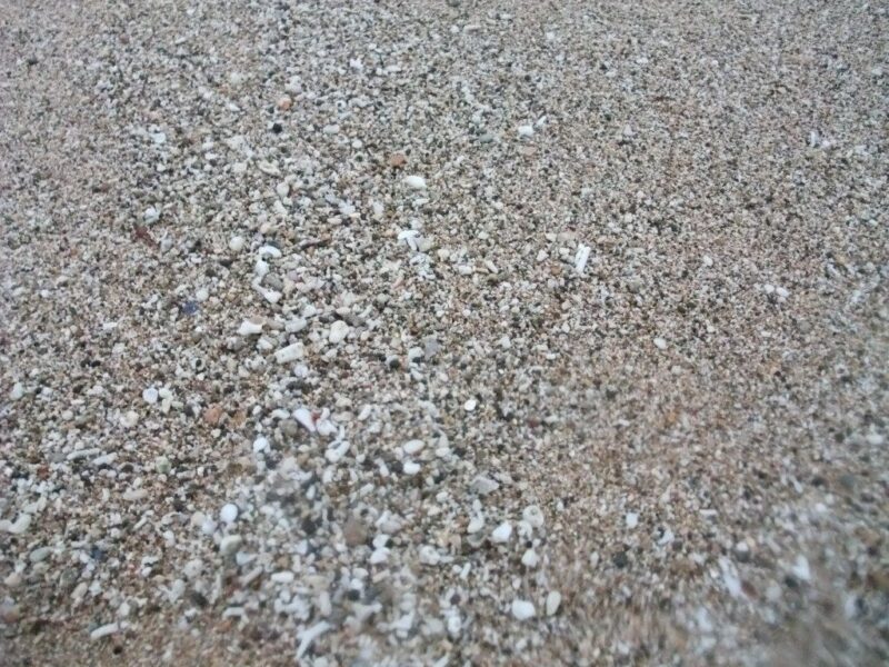 白砂の地面