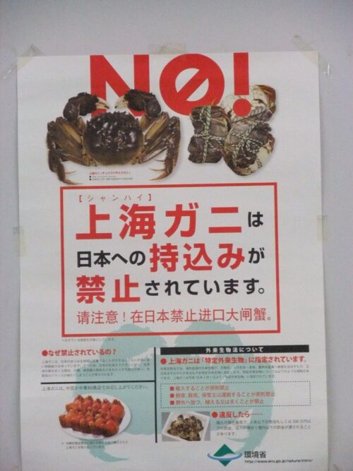 上海蟹の持ち込み禁止