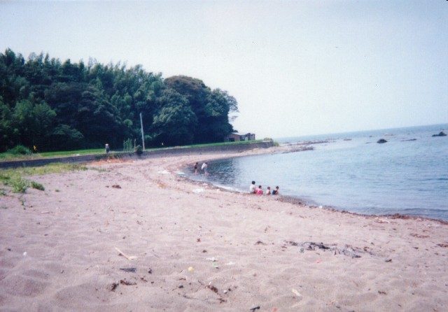 砂浜の光景