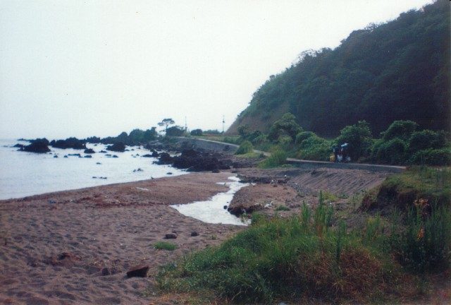 砂浜から去る