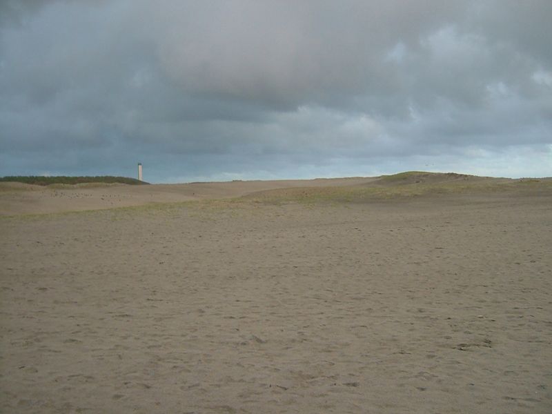 単なる砂山