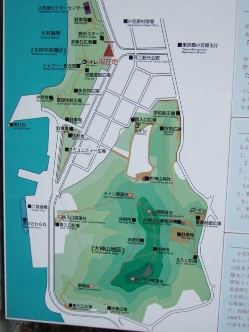 父島港近辺の地図