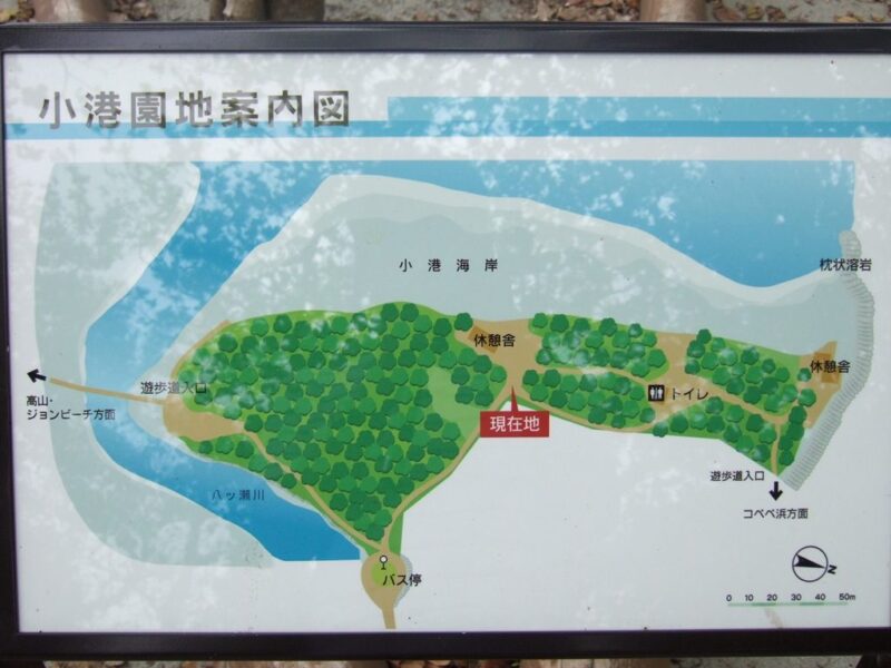 小湊海岸地図