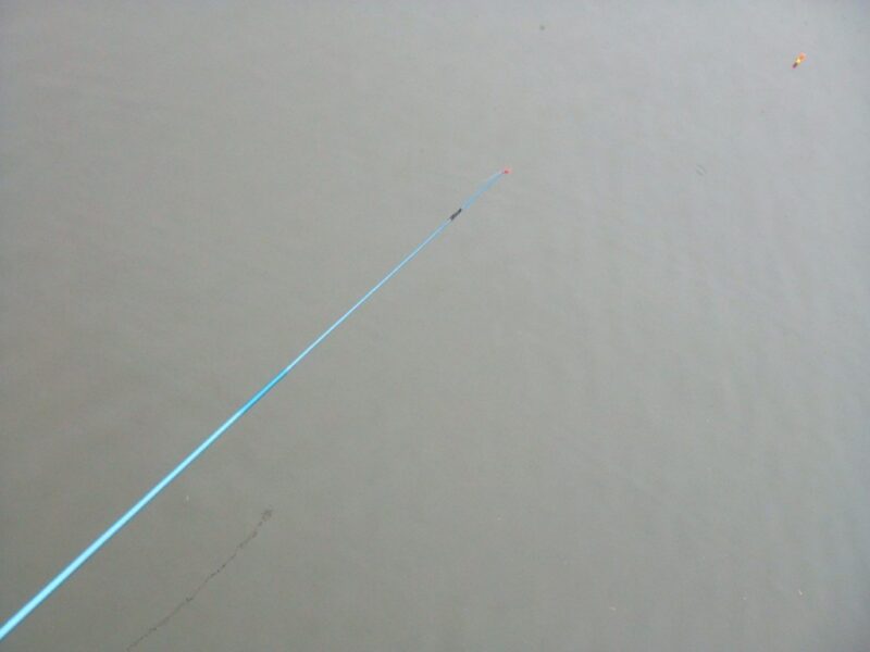 釣竿と水面