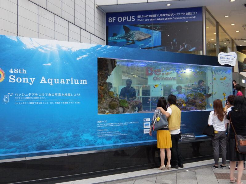 48th Sony Aquarium 