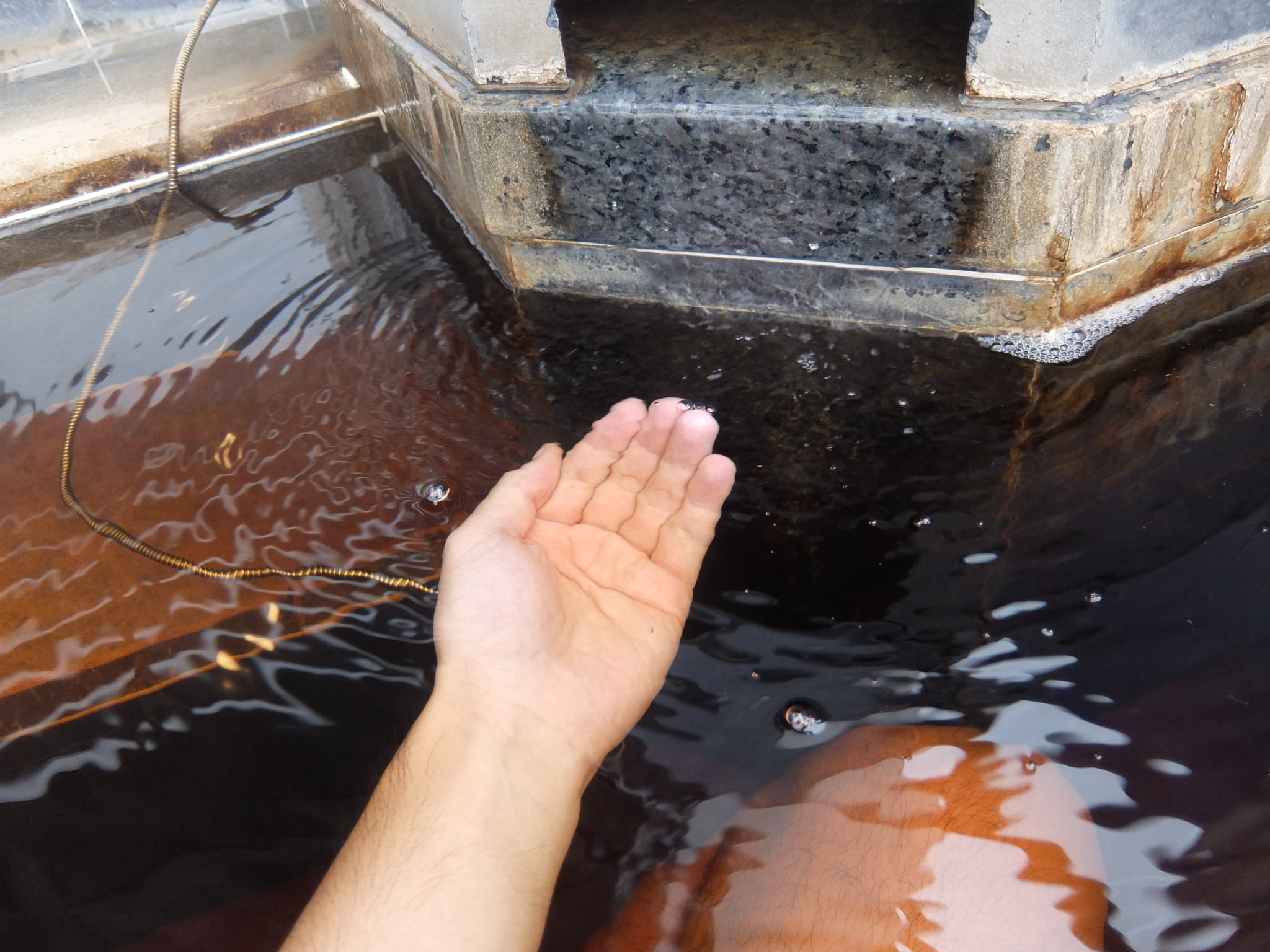 海辺の湯