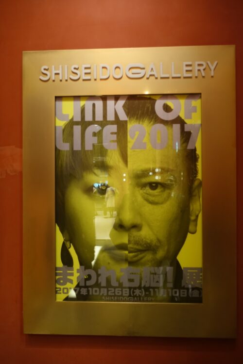 LINK OF LIFE 2017 まわれ右脳！展
