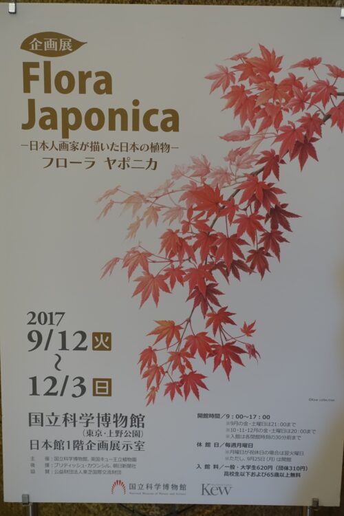 フローラ ヤポニカ—日本人画家が描いた日本の植物—