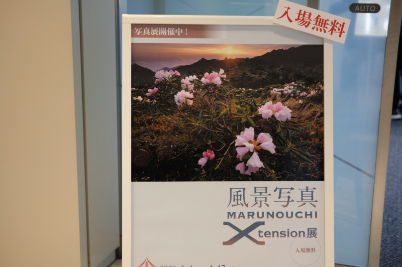風景写真MARUNOUCHI X tension展