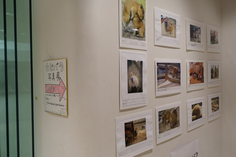 ご当地コスプレ写真展&カピバラ写真展@東京シティアイパフォーマンスゾーン