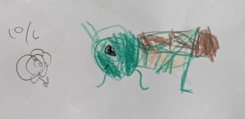 子供が見ている世界は笑顔 | アワレみ隊OnTheWeb