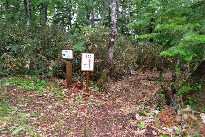 斜里岳登山道と原生林ウォーキングコースの分岐点にある手書きの看板。周囲は深い緑に囲まれている。