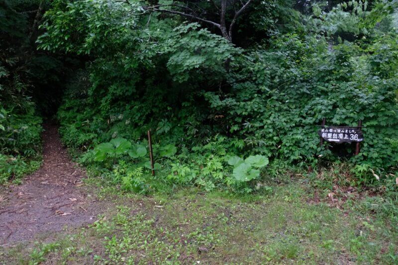 登山道の入り口に立つ「登山届は済みましたか」と書かれた案内看板。奥へ続く細い道。