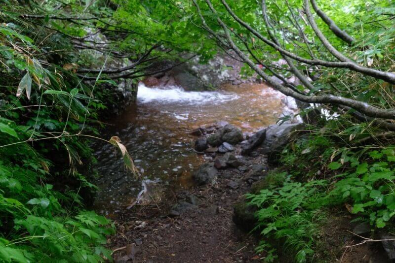 木の枝越しに見る、赤茶色の川底を持つ沢の小さな滝壺。