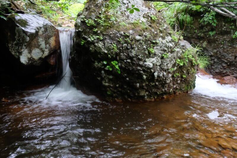 苔むした巨岩の横を流れる細い滝と、琥珀色に見える水面。