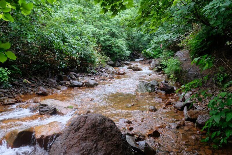 赤茶色の石が敷き詰められた穏やかな沢の流れと、周囲の深い緑。