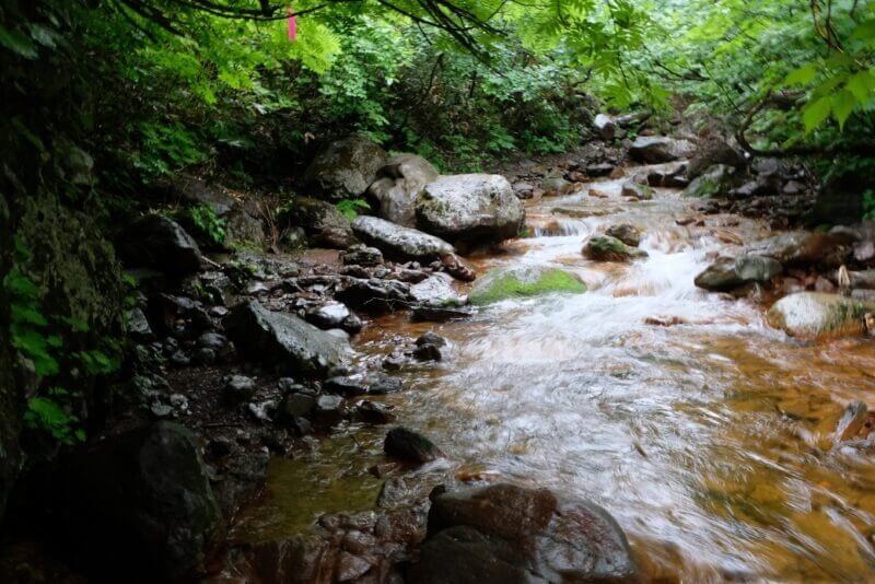 左側に切り立った岩がある沢沿いのルート。水流が速くなっている。