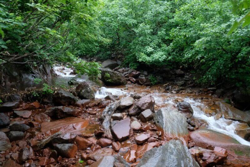 倒木と赤茶色の岩が点在する、やや荒れた印象の沢の流れ。