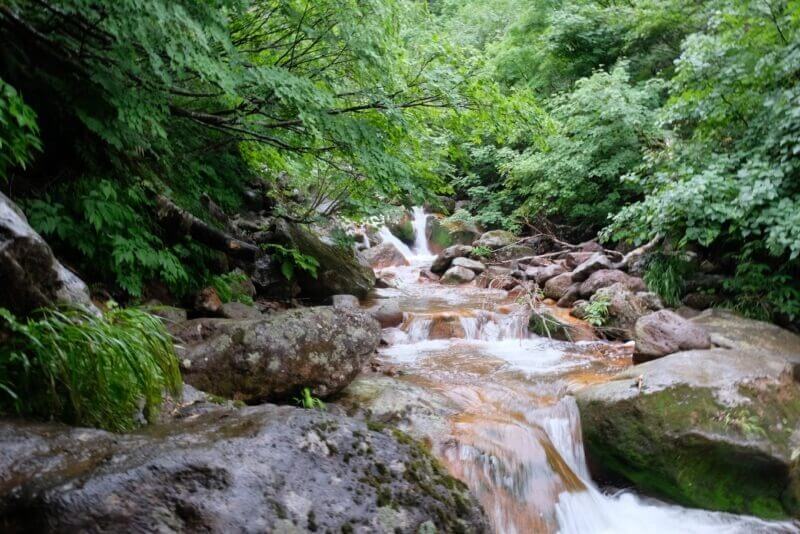 赤茶けた岩が並ぶ緑豊かな沢の風景。奥には小さな滝が見える。