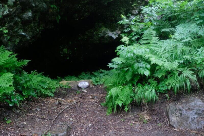 シダ植物に囲まれた暗い洞窟の入り口と、その前に置かれた「仙人洞」と記された石碑。