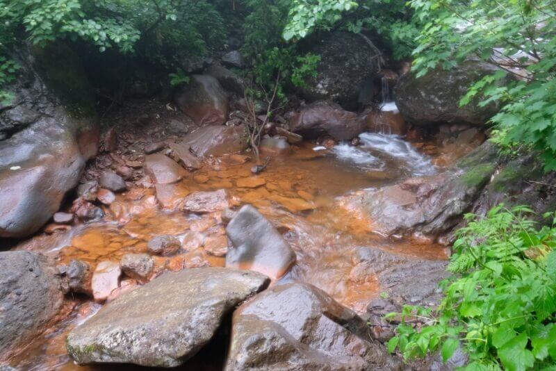 岩場にできた小さな水溜まり. 水底の石まで赤く染まっており、周囲は濡れた苔や岩に囲まれている。