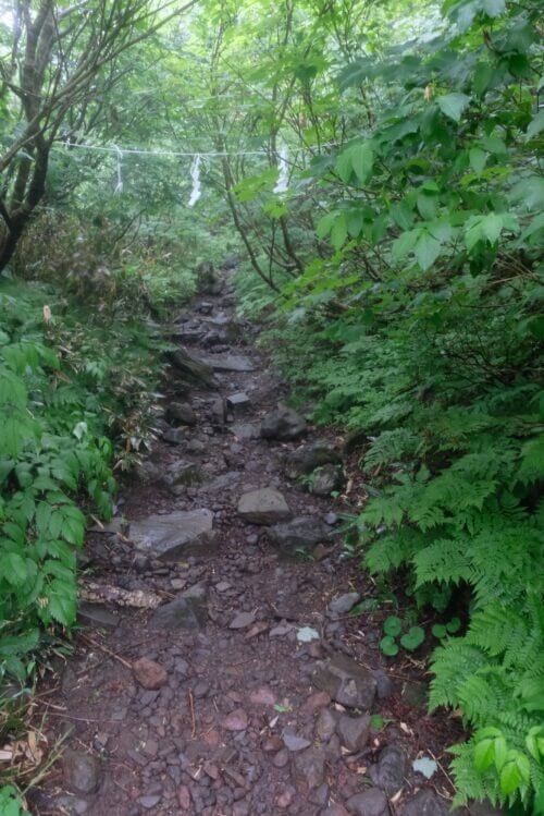 注連縄が渡された岩だらけの急な登山道と周囲の緑豊かな風景