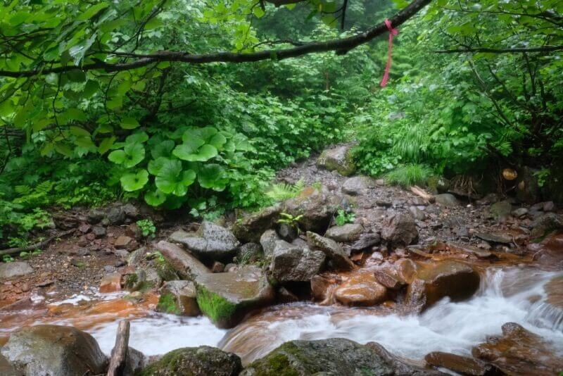 赤茶色の岩の間を流れる沢と対岸のピンクテープ