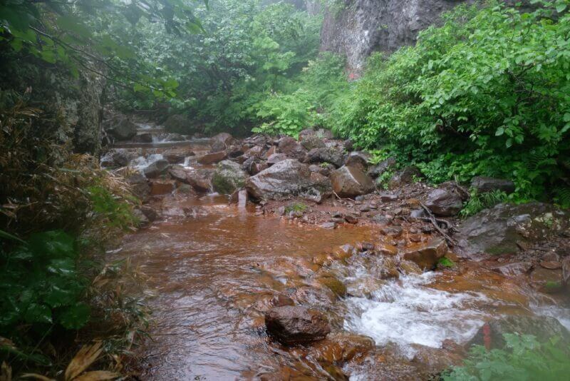 霧に包まれた赤茶けた沢を流れる穏やかな水流。周囲は濃い緑の木々に囲まれている。