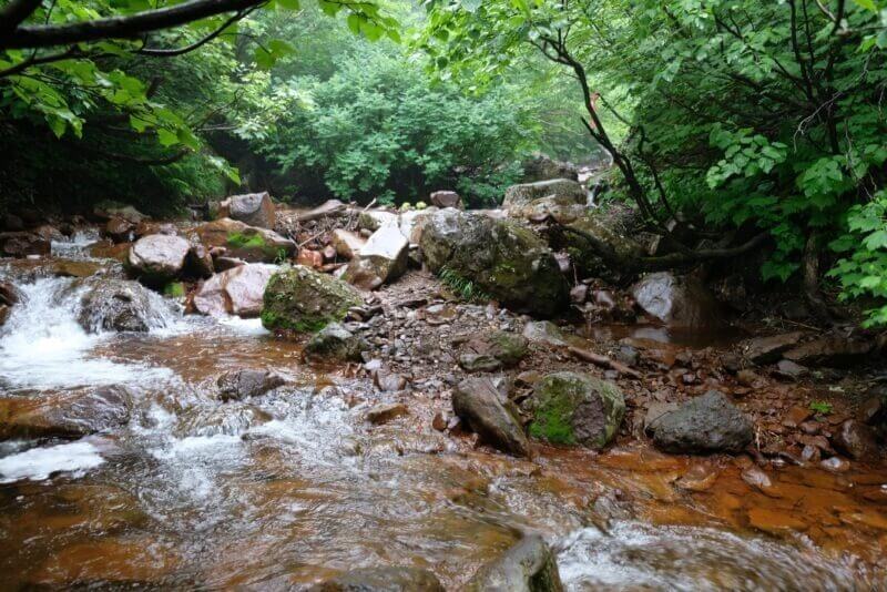 岩が乱雑に転がる広い沢床。奥にはピンク色のテープが目印として見える。