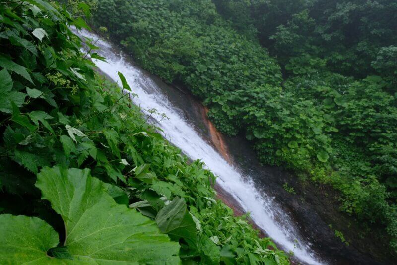緑の藪に挟まれた、岩肌を薄く水が流れる急な沢状の道。