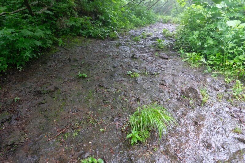 雨に濡れて黒光りする、泥と小石が混じった急峻な登山道の斜面。