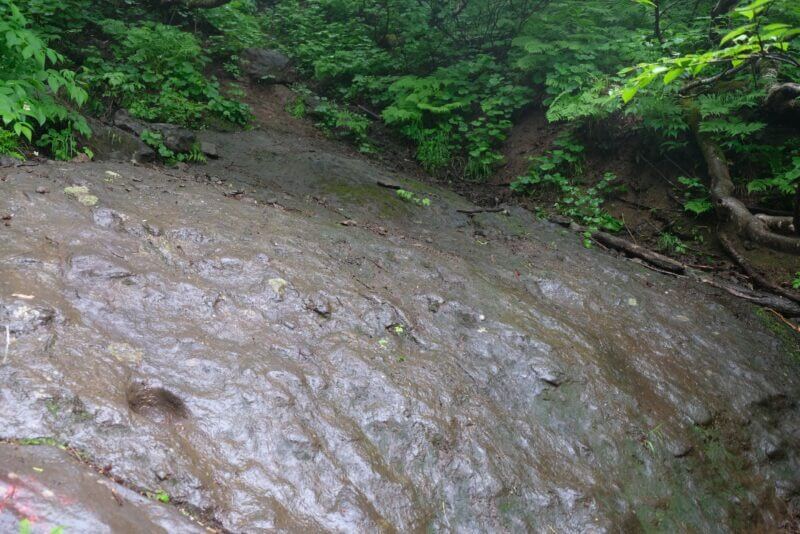 濡れて光る滑らかな大きな一枚岩の斜面。登山道の一部。