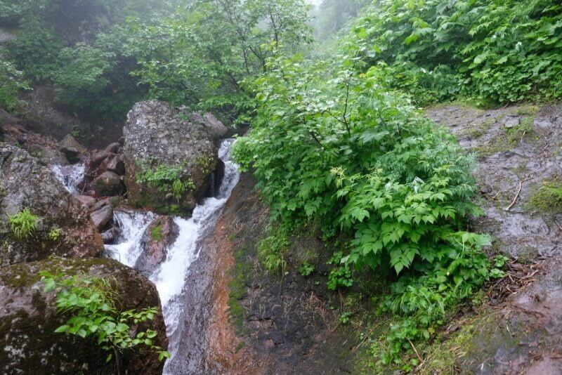 大きな岩の間を勢いよく水が流れ落ちる、沢状の登山道。