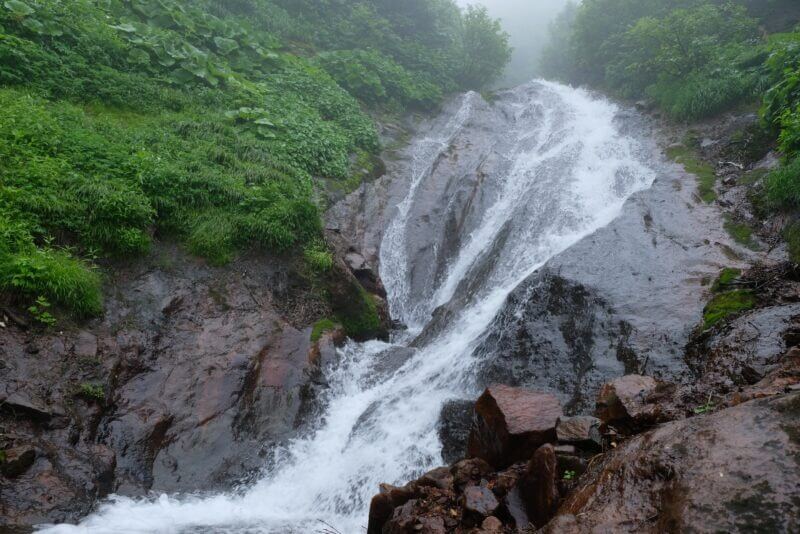 大きなフキの葉の横を流れる幅の広い滝
