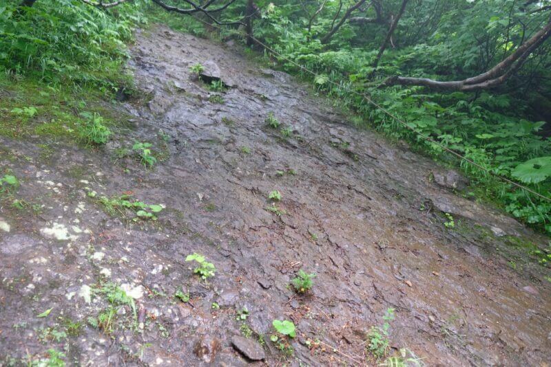 トラロープが設置された濡れた急斜面の登山道