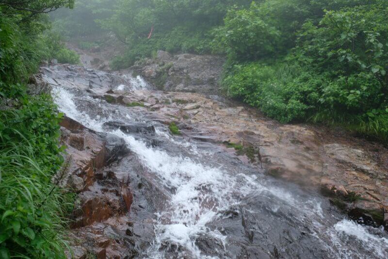 ピンクの目印テープが見える、水量が増した登山道の渡渉箇所