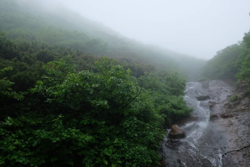 深い霧の中に消えていく沢沿いの登山道