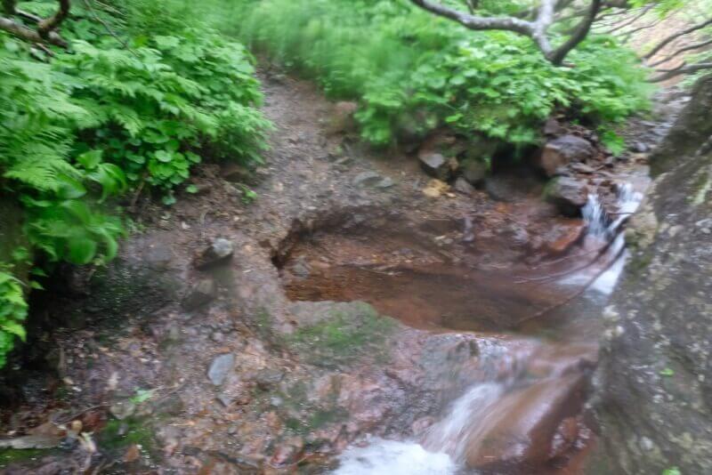 泥濘んだ地面と草木に囲まれた狭い登山道の足元