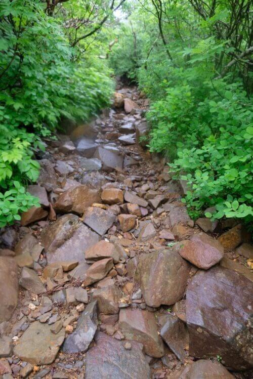 浮石が散乱するガレた登山道の風景