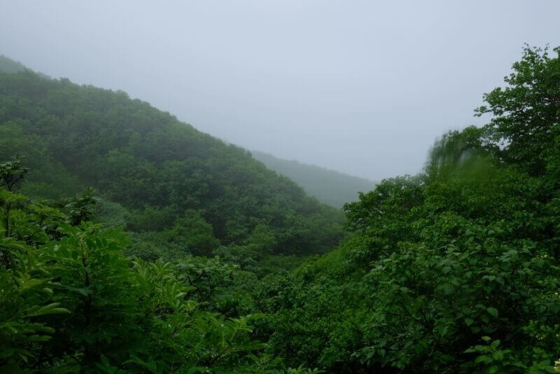深い霧に覆われ視界が遮られた山肌の風景